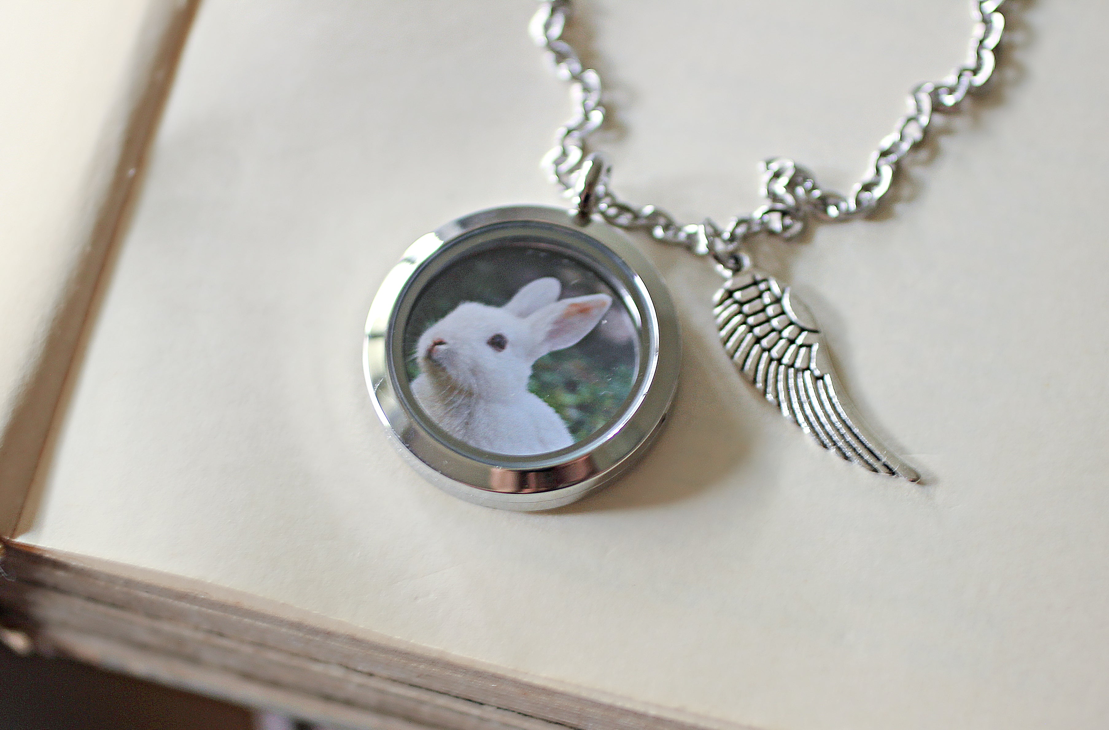 To My good Bunny Mom, Memorial Photo Heart Necklace, Gift For Loss Of Rabbit